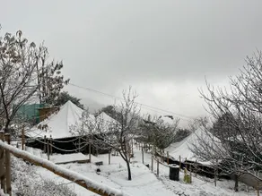JijiVisha Shimla - Image 5