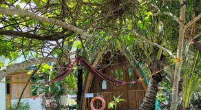 Reggae Vibes De Romblon - Image 4
