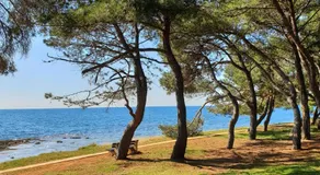 Family Bungalow Pineta - Image 5
