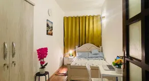 Falcon properties - Image 2