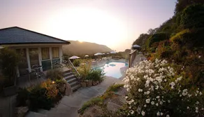 The Cove - Image 5