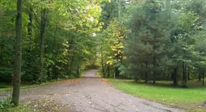 Bed and breakfast suite at the Wooded Retreat - Image 5