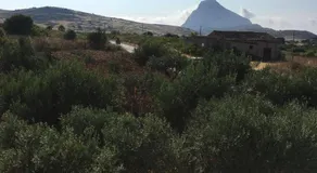 Terra di Suli - Image 5