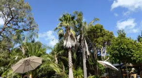 The Balnarring Motel - Image 5