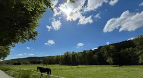 Jagdhütte - Image 4