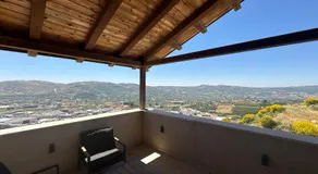 Alpinia - Image 2