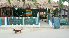 Chief Mau Moalboal Cebu - Image 5