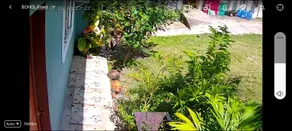 Bohol Vacation Place - Image 4