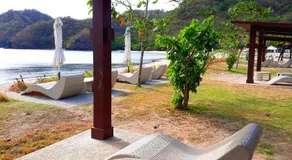 Pico de Loro Jacana B - Image 3