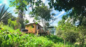 Glampbird-Tangara Real - Image 2