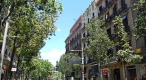 Hostel Lima - Image 5