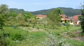 Gîte MARTINS - Image 2