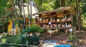 Chalé no Plantar em Casa - Image 5