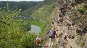 Weingut Pension Hammes-Krüger - Image 5