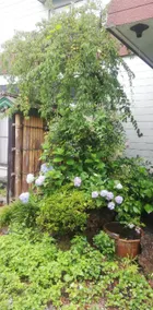 Suijinhotel - Image 1