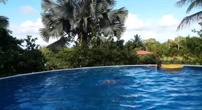 Island Goode's - Luxury Adult Only Accommodation near Hilo - Image 3
