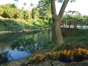 Our Eco Farm - Image 5