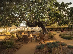 Meadowlark Inn - Image 5