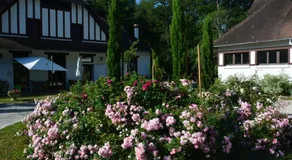 Chambre d'hôtes "Perle", Communs de Bon Hôtel - Image 3