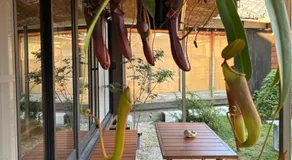 犬と泊まれる平屋Dog friendly house 黄昏 - Image 5