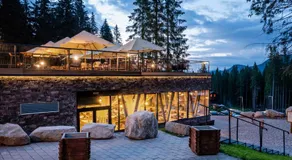 Hotel Björnson & Björnson TREE HOUSES Jasná - Image 4