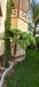 Mesita Classic Resort - Kilifi - Image 3