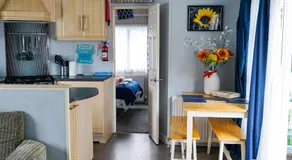 Sunflower - Image 3