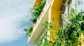 Homestay in Tay Ninh - Image 5