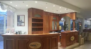 Hotel Trevi Riccione, in centro sul mare con cucina - Image 4