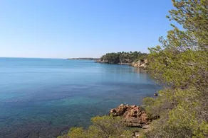 Casita de pescadores con vista al puerto - Image 4
