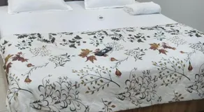 Hotel Royal Bites - Image 2