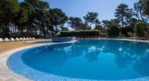 Apartment Pine View- Falesia Beach By Dalma Portuguesa - Image 4