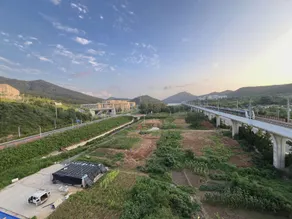 Tai Dong Homestay (University Town Branch) - Image 4