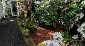 Paradise Cottage at Anthurium Hale - Image 5