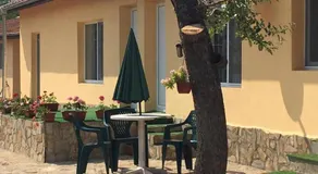 Guest House Viola - Image 3