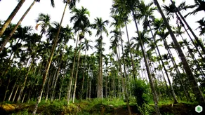 Hiliya Resort - Image 3