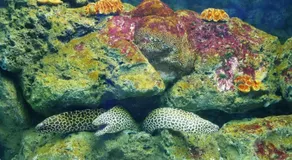 Betta Hostel - Image 3