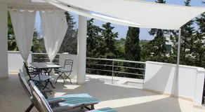Boat dreams , garden relax - Image 4