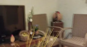 Apartament Zielona - Image 5