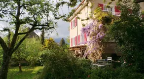 au jardin - Image 4