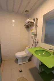 Sophie Roland Hotel (Shenzhen Huaxin Metro Station) - Image 3