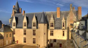 Chateau de Durtal - Image 2