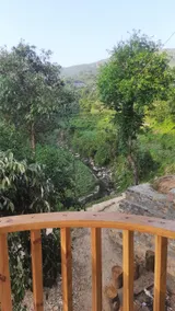 Ghughuti home stay - Image 5