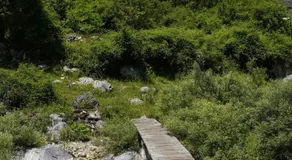 Motina River Guesthouse - Image 4