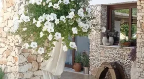 B&B Badde Tale - Image 3