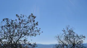 Concert Apartments, Seaside Stay in Kochyli, Limni Evia - Image 4
