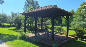 Quinta das Carvalhas - Image 4