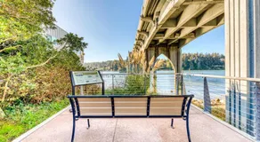 Incredible Riverfront Oasis with Wraparound Deck & Cozy Interior - Image 4