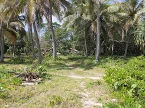 Alofa Beach Bungalows - Image 5