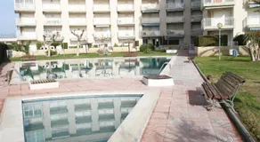 Los Pelicanos - Image 5